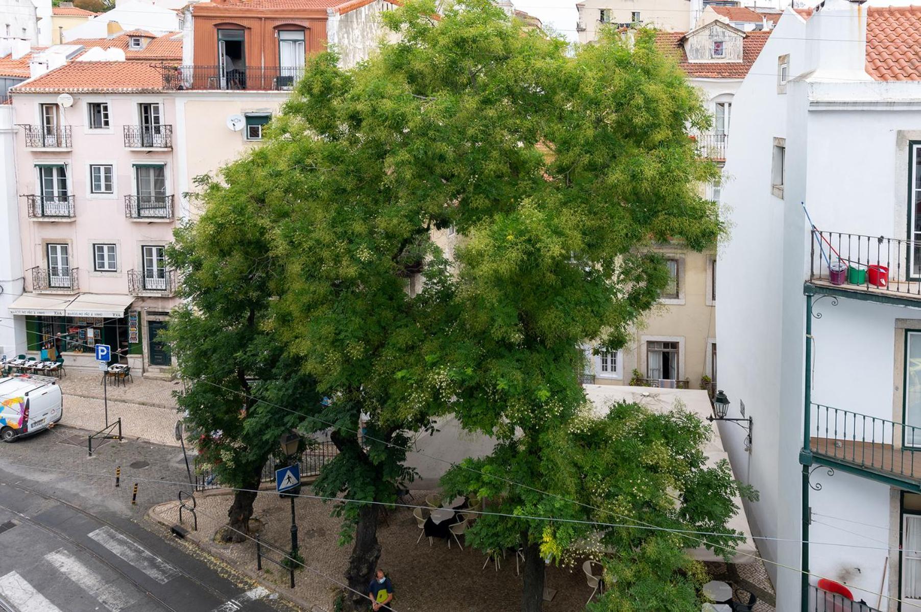 Portas Do Ceu Apartment Lisboa Phòng bức ảnh
